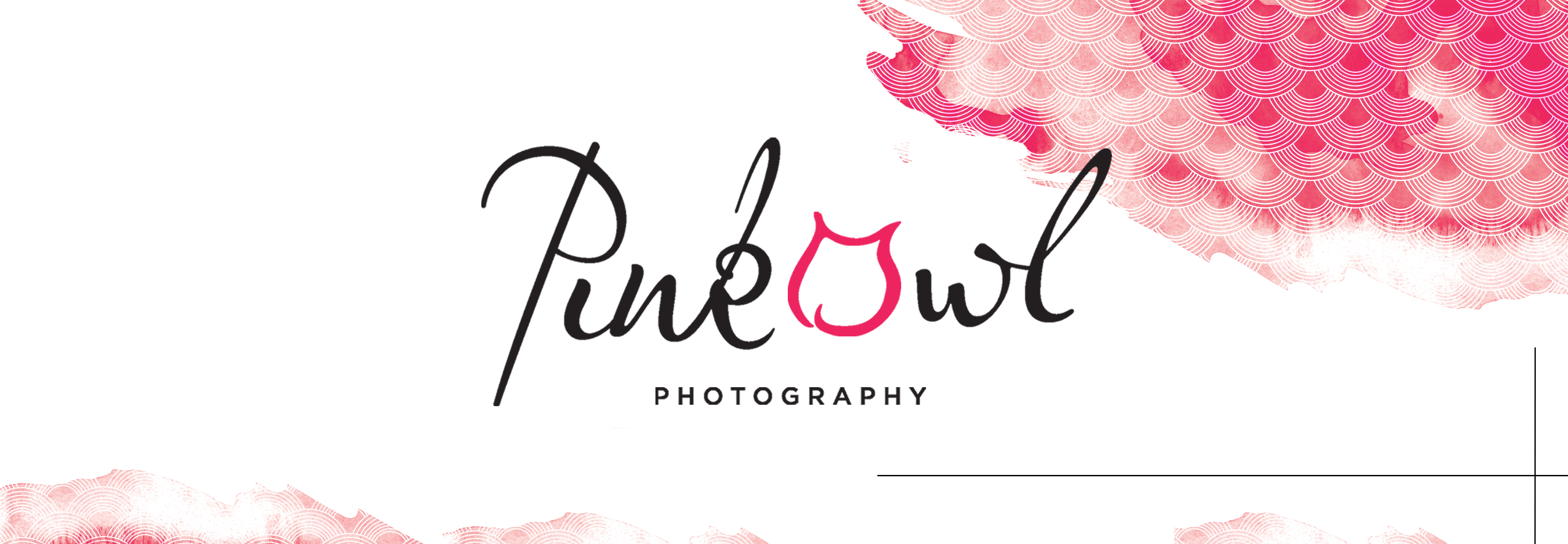 Raleigh Photographers | Chapel Hill | Louisville | Pink Owl Photography